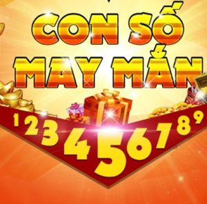 cầu chuẩn dự đoán víp giải 8 mn hôm nay